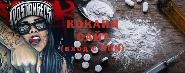 2c-b Бородино