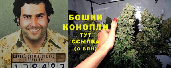 PSILOCYBIN Верхнеуральск