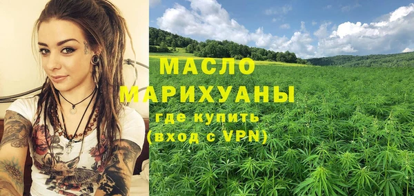 2c-b Бородино
